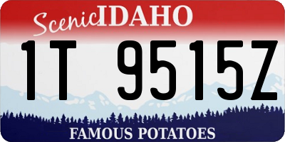 ID license plate 1T9515Z