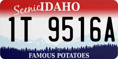 ID license plate 1T9516A