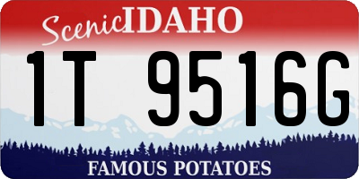 ID license plate 1T9516G