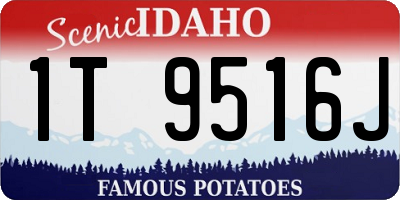 ID license plate 1T9516J