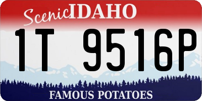 ID license plate 1T9516P