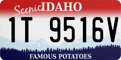 ID license plate 1T9516V