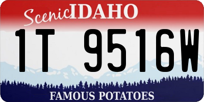 ID license plate 1T9516W