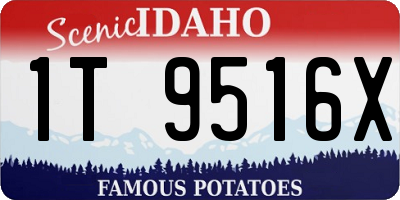 ID license plate 1T9516X