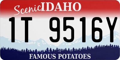 ID license plate 1T9516Y