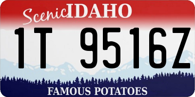 ID license plate 1T9516Z