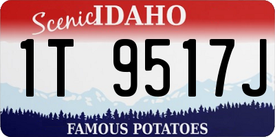 ID license plate 1T9517J