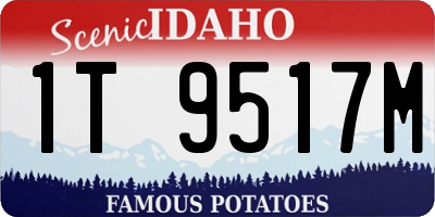 ID license plate 1T9517M
