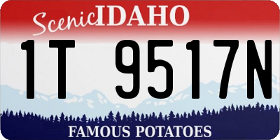 ID license plate 1T9517N