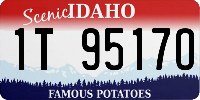 ID license plate 1T9517O