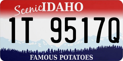 ID license plate 1T9517Q