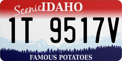 ID license plate 1T9517V