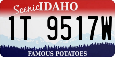 ID license plate 1T9517W
