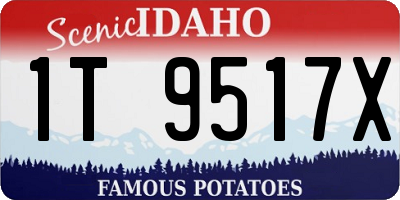 ID license plate 1T9517X