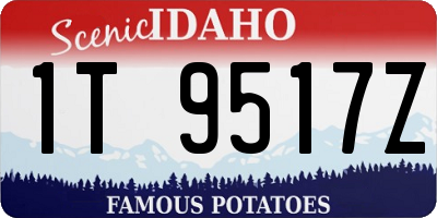 ID license plate 1T9517Z