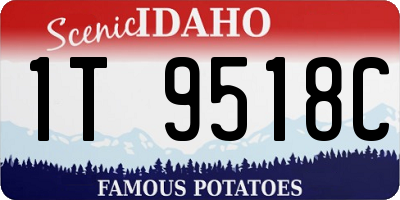 ID license plate 1T9518C