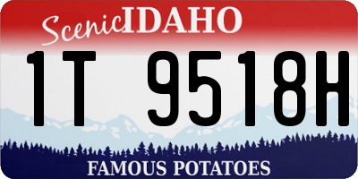 ID license plate 1T9518H