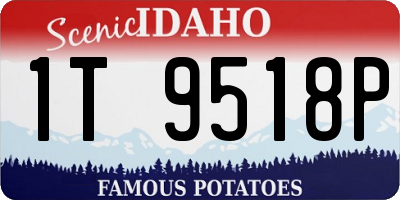 ID license plate 1T9518P