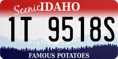 ID license plate 1T9518S