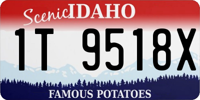 ID license plate 1T9518X