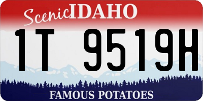 ID license plate 1T9519H