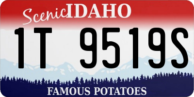 ID license plate 1T9519S
