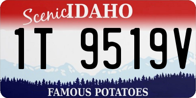 ID license plate 1T9519V