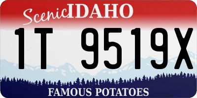 ID license plate 1T9519X