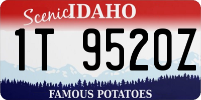 ID license plate 1T9520Z
