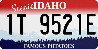 ID license plate 1T9521E