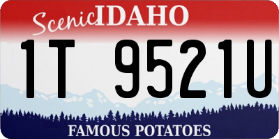 ID license plate 1T9521U
