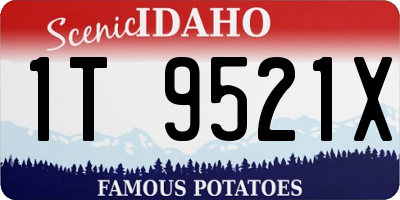 ID license plate 1T9521X