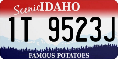 ID license plate 1T9523J
