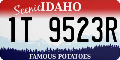 ID license plate 1T9523R