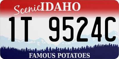 ID license plate 1T9524C