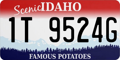 ID license plate 1T9524G