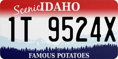 ID license plate 1T9524X