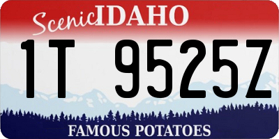 ID license plate 1T9525Z