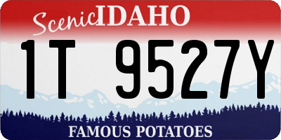 ID license plate 1T9527Y