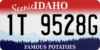 ID license plate 1T9528G