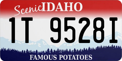 ID license plate 1T9528I