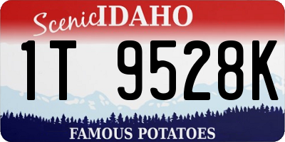 ID license plate 1T9528K