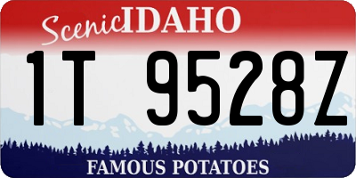 ID license plate 1T9528Z