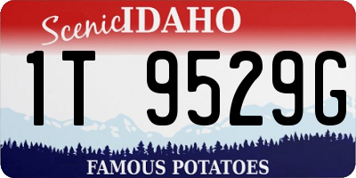 ID license plate 1T9529G