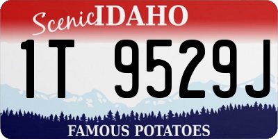 ID license plate 1T9529J