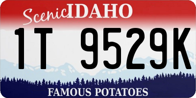 ID license plate 1T9529K