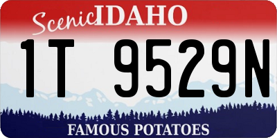 ID license plate 1T9529N