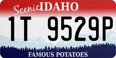 ID license plate 1T9529P