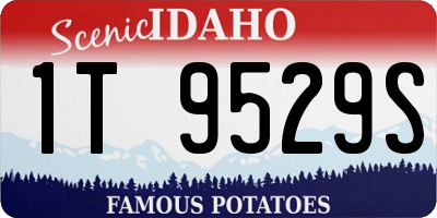 ID license plate 1T9529S
