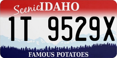 ID license plate 1T9529X